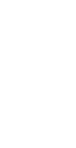 Dipp