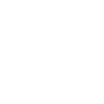 Brushes