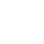 Brushes