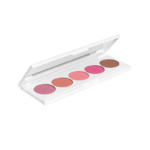 Ofra Blush Palette