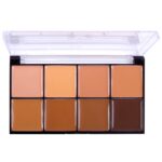 J.Cat Master Class Face Fx Color Palette 102 Medium Deep