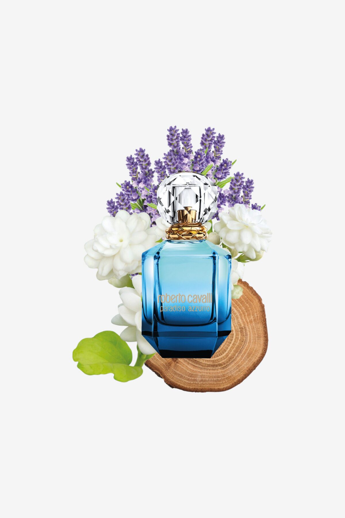 Roberto Cavalli Paradiso Azzurro For Her EDP 100ml - Image 5