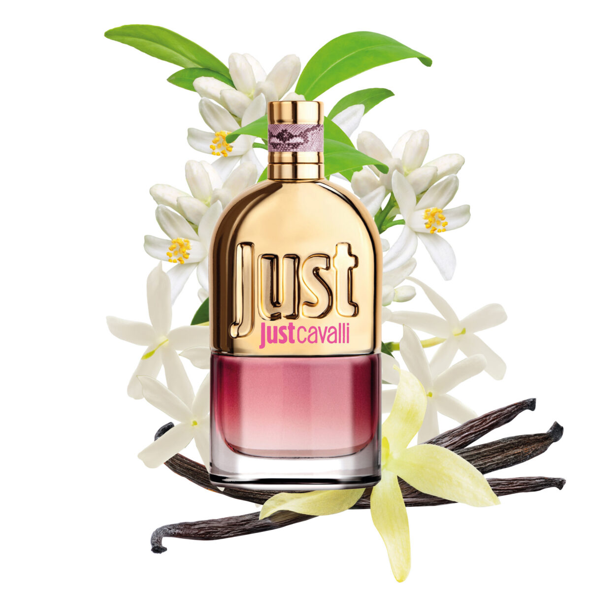 Roberto Cavalli Just Cavalli For Her EDT 30ml - Image 5