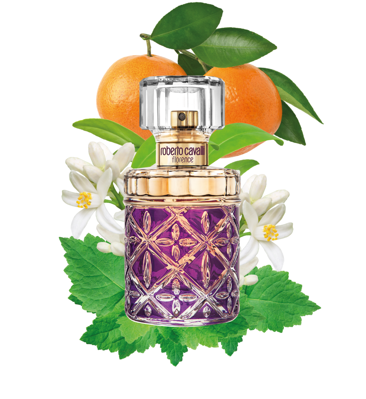 Roberto Cavalli Florence For Her EDP 75ml - Image 5