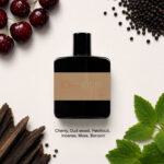 DIPP The Standout 10 Cherry Woods EDP 100ml