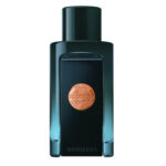 Antonio Banderas The Icon Attitude For Him EDP 100ml