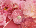 Antonio Banderas The Icon Splendid For Her Set EDP 100ml + Deodorant Spray 150ml - Image 3