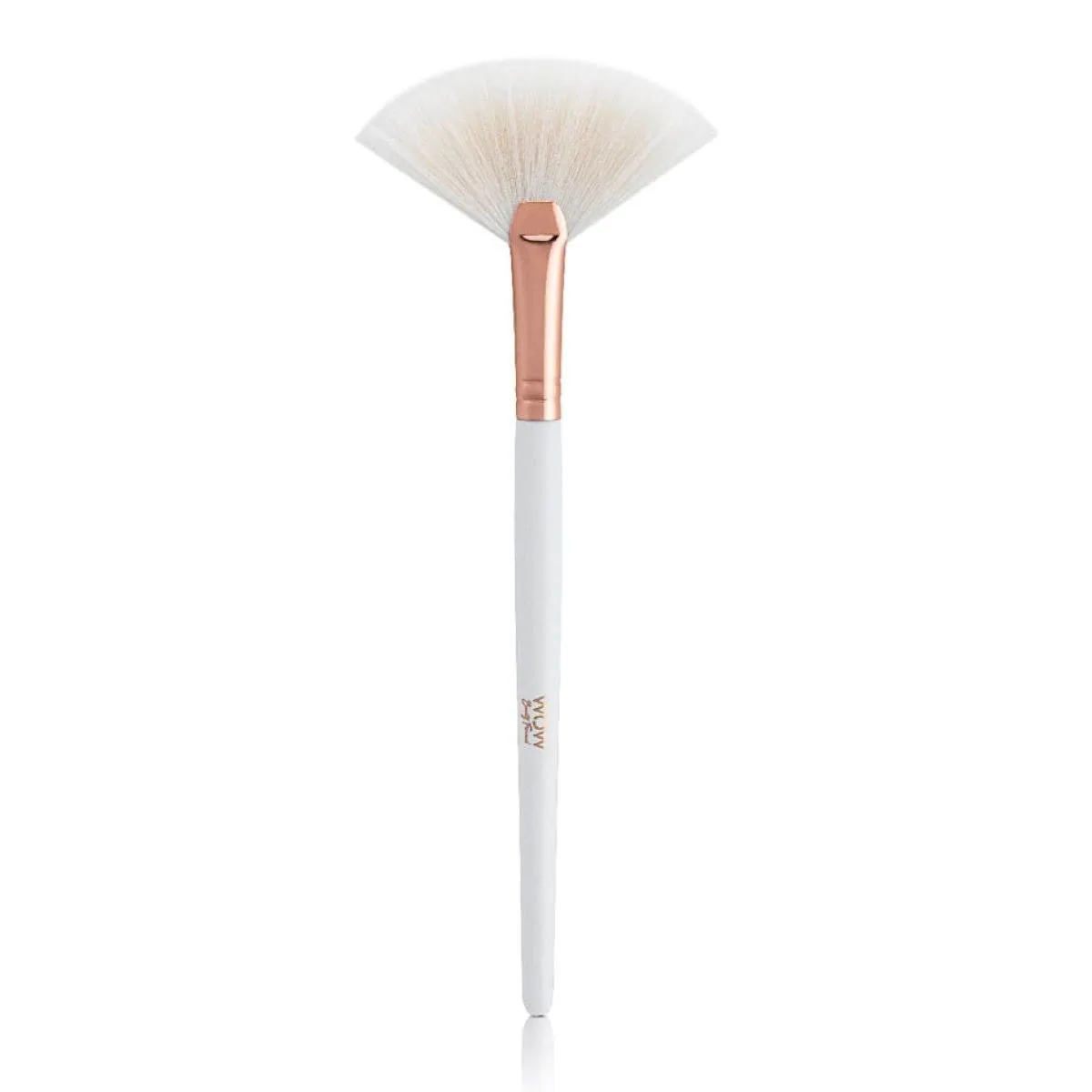 Fan Brush 1731